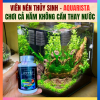 Viên Nén Thủy Sinh AQuarista Nhật Bản - Chơi Cá Cả Năm Không Cần Thay Nước